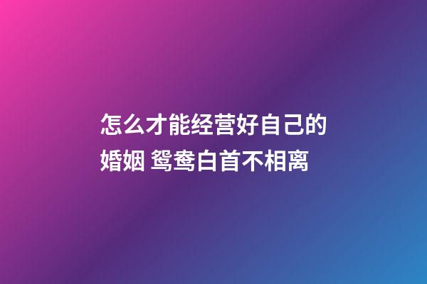 怎么才能经营好自己的婚姻 鸳鸯白首不相离